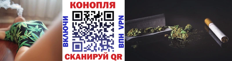 МЕФ Каргополь