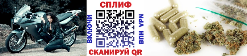Бошки марихуана VHQ  где можно купить наркотик  Каргополь 